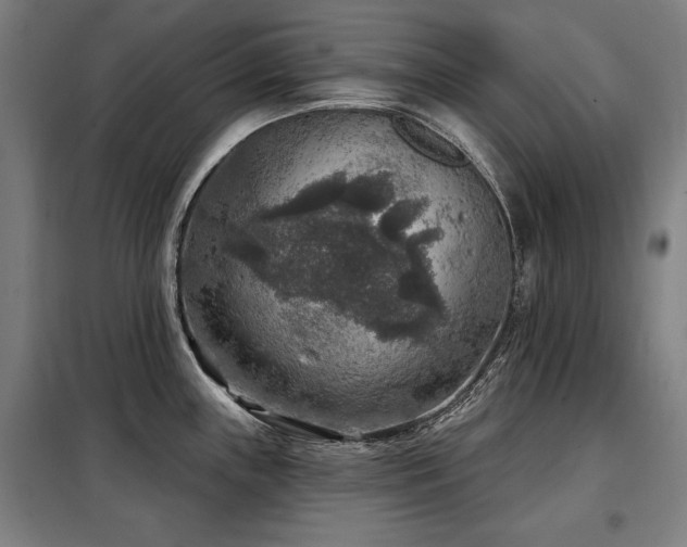 X0000098071243200804041118