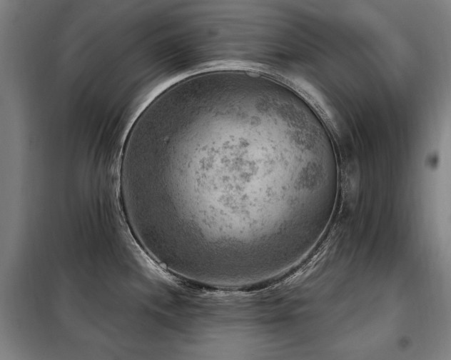 X0000098071244200804041118