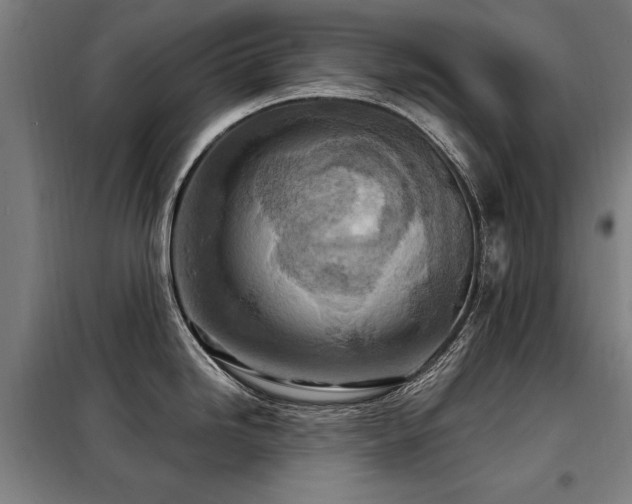X0000098071246200804041118