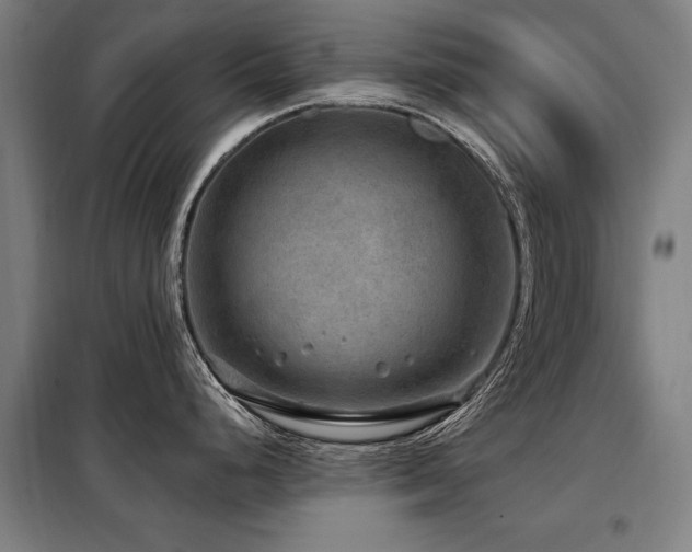 X0000098071248200804041118