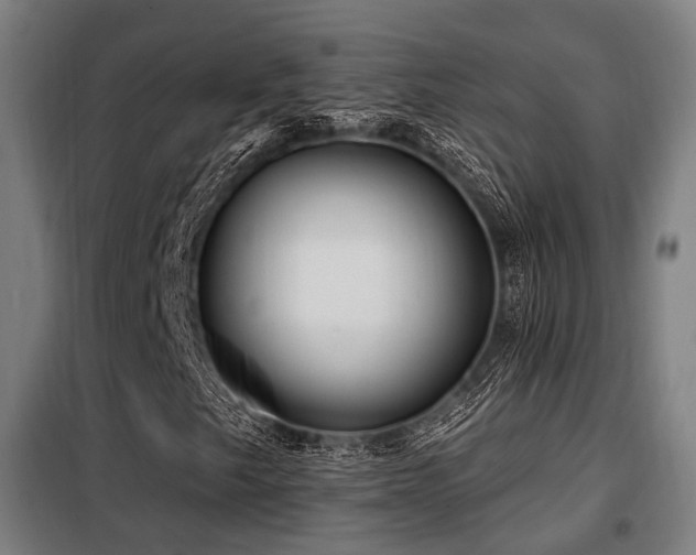 X0000098071249200804041117