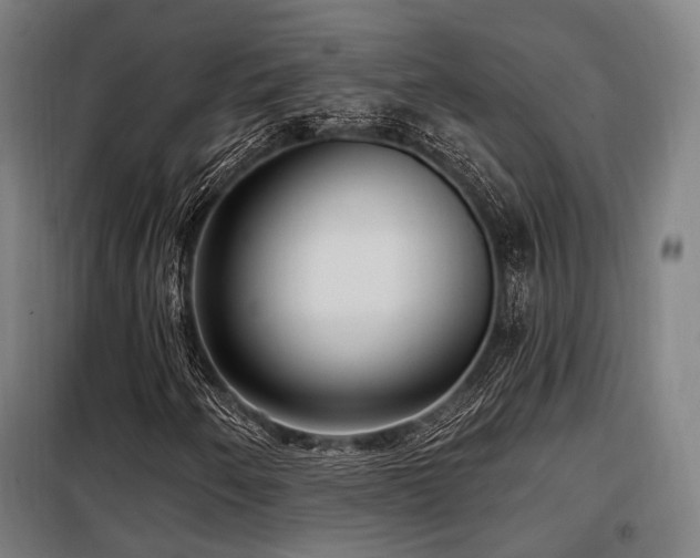 X0000098071250200804041117