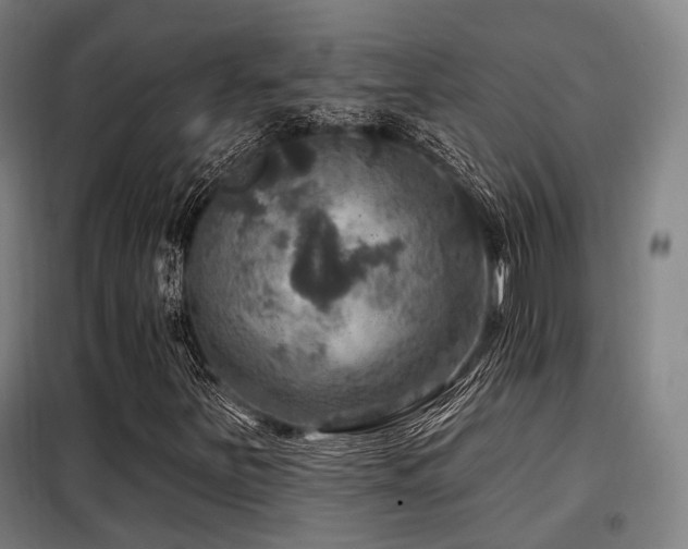 X0000098071251200804041117