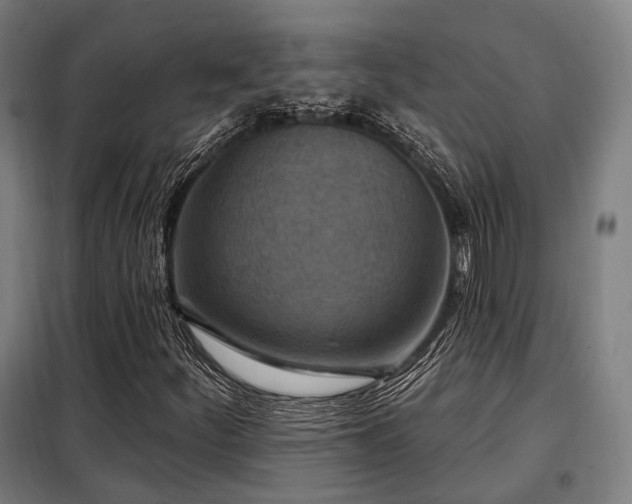 X0000098071252200804041117
