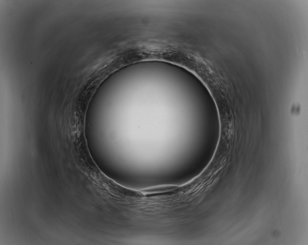 X0000098071253200804041117