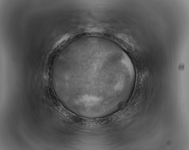 X0000098071254200804041117