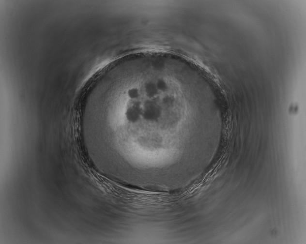 X0000098071255200804041117