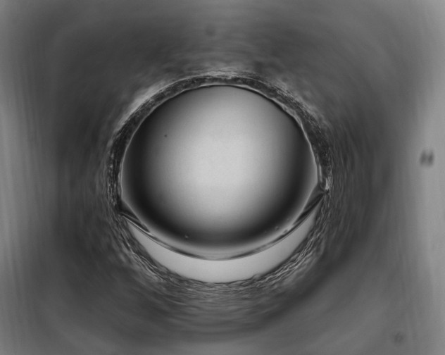 X0000098071256200804041117