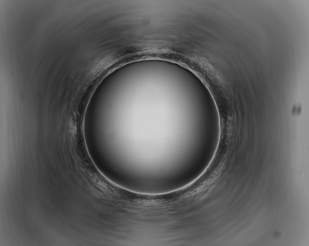 X0000098071257200804041117