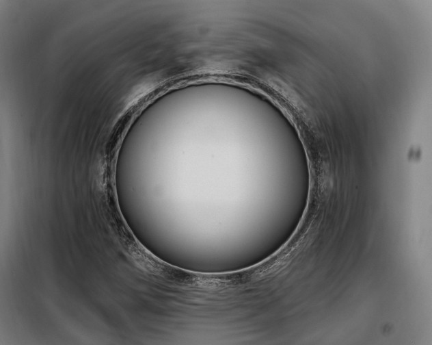 X0000098071258200804041117