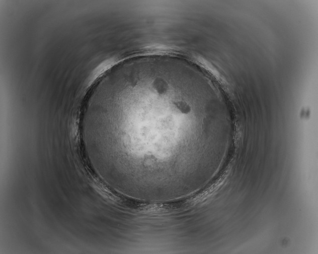 X0000098071259200804041117