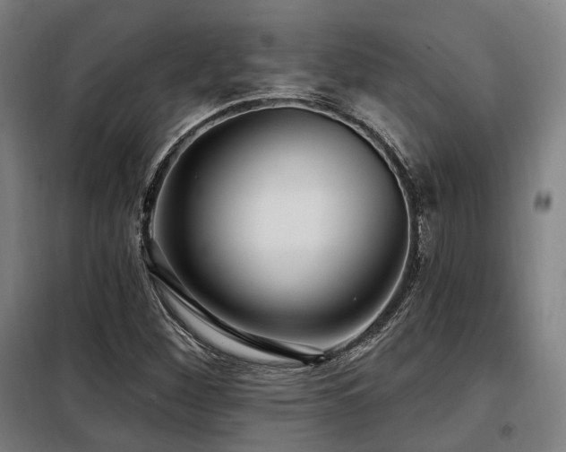 X0000098071260200804041117