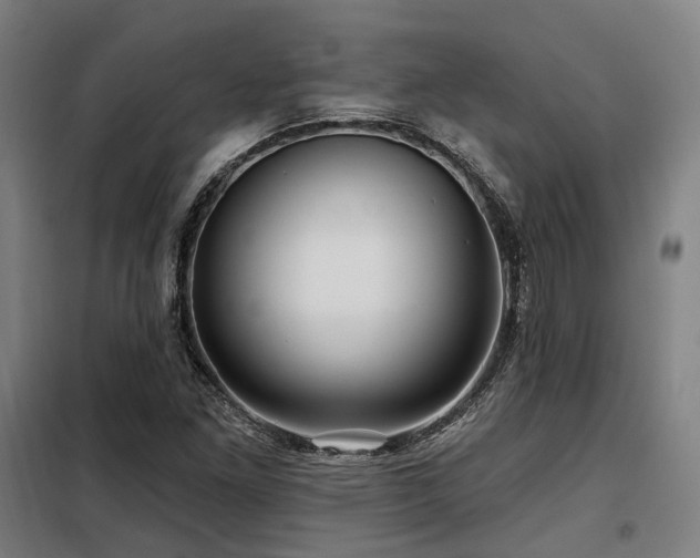 X0000098071261200804041117