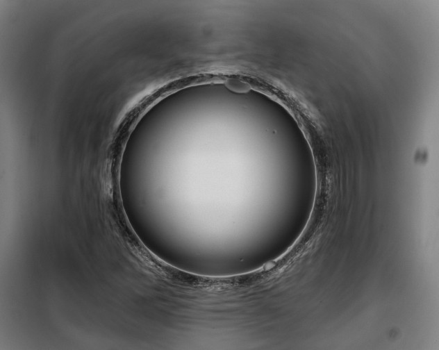 X0000098071262200804041117