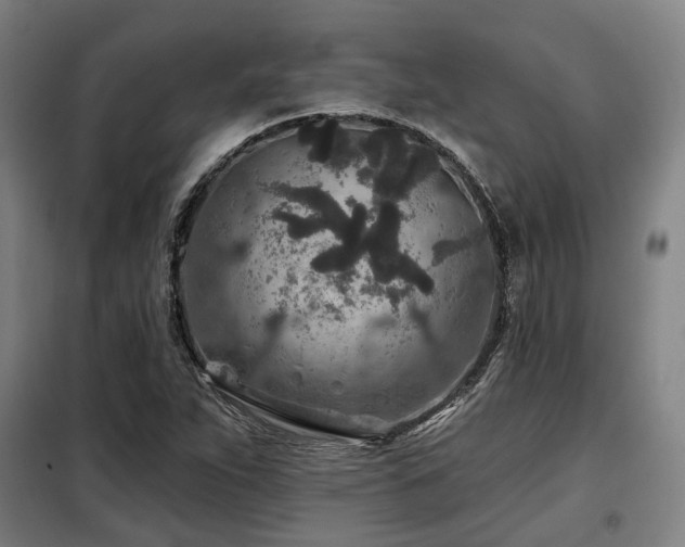 X0000098071263200804041117
