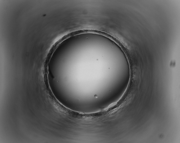 X0000098071264200804041117