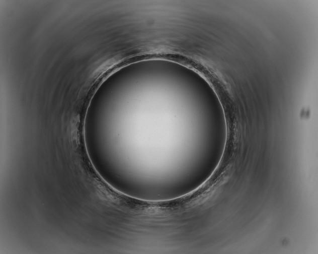 X0000098071265200804041117