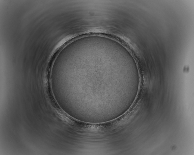 X0000098071266200804041117