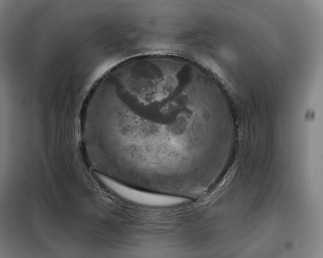X0000098071267200804041117