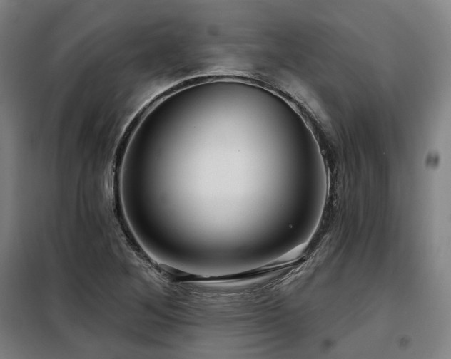 X0000098071268200804041117