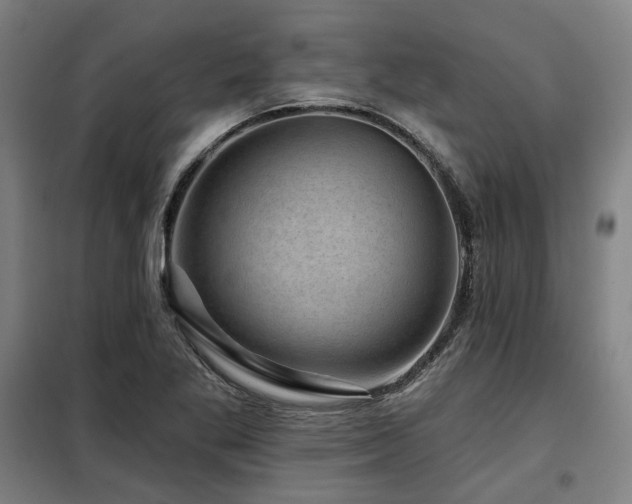 X0000098071269200804041117