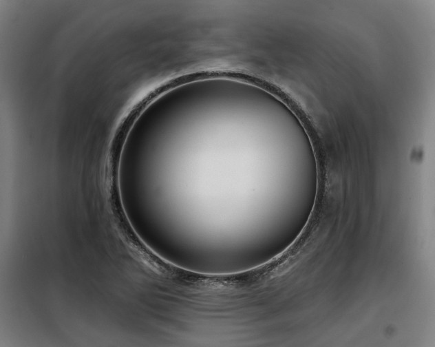 X0000098071270200804041117