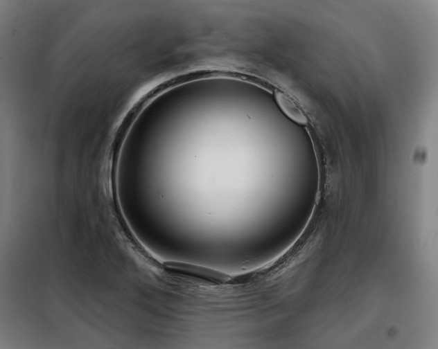X0000098071272200804041117