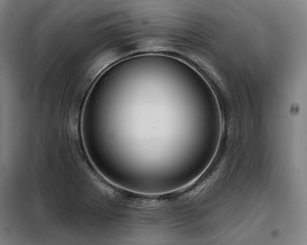 X0000098071273200804041117