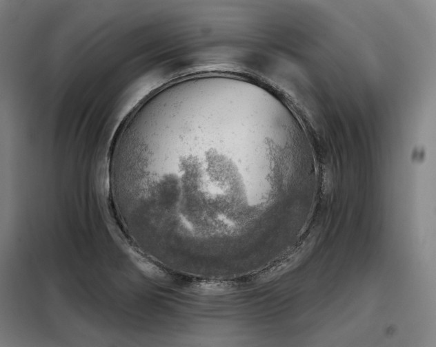 X0000098071274200804041117
