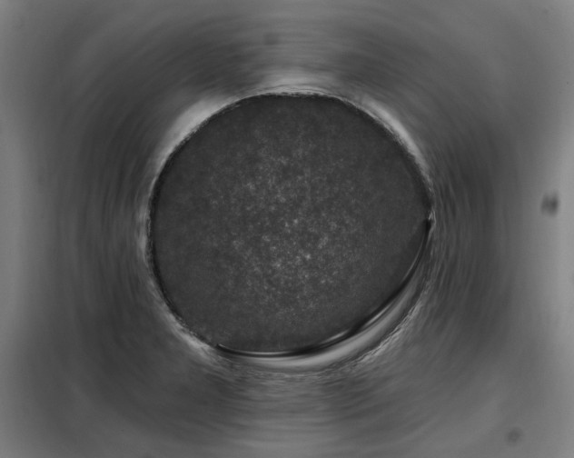 X0000098071277200804041117