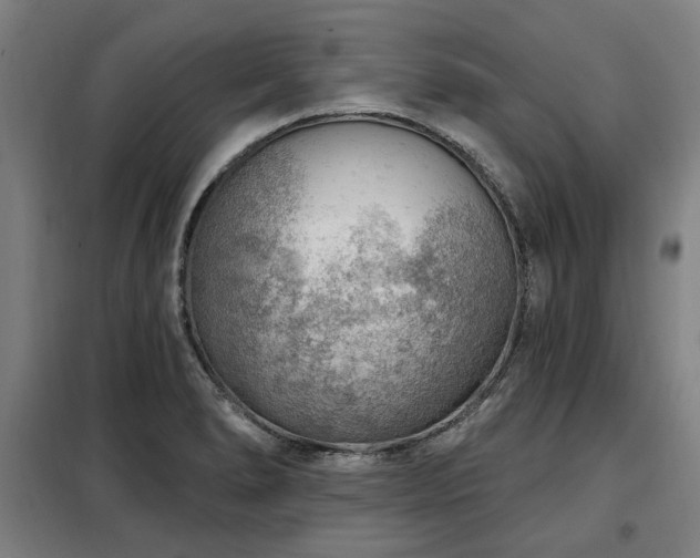 X0000098071278200804041117