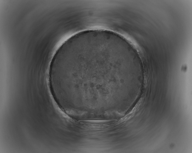 X0000098071279200804041117