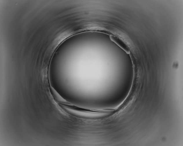 X0000098071281200804041117