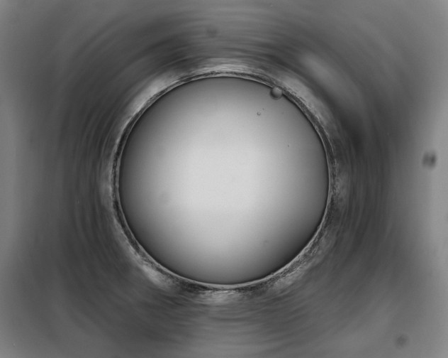 X0000098071282200804041117