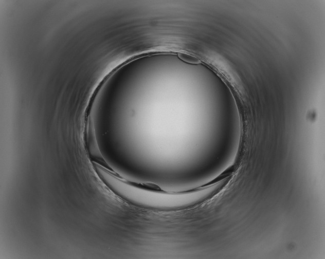 X0000098071284200804041117