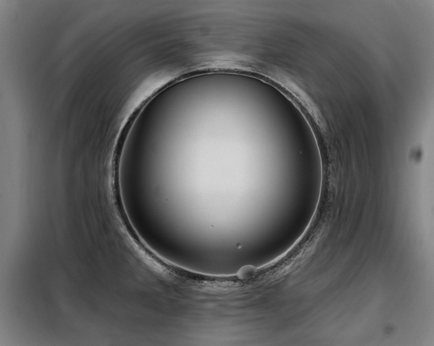 X0000098071285200804041116