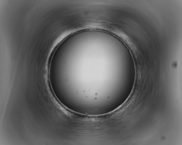 X0000098071286200804041116