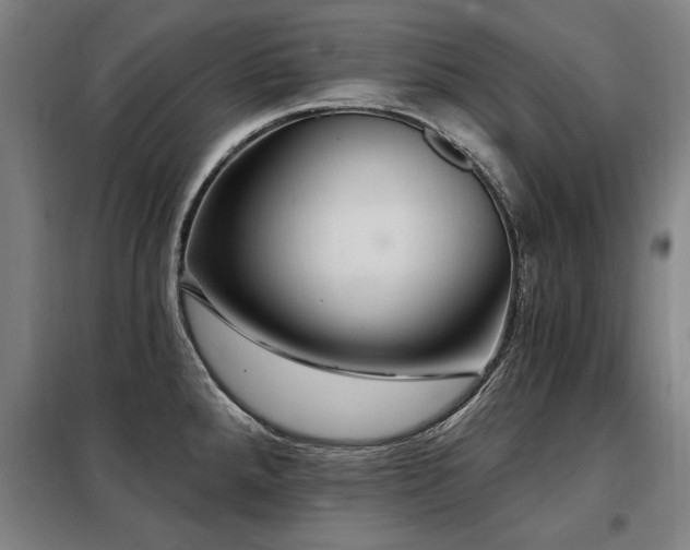 X0000098071288200804041116