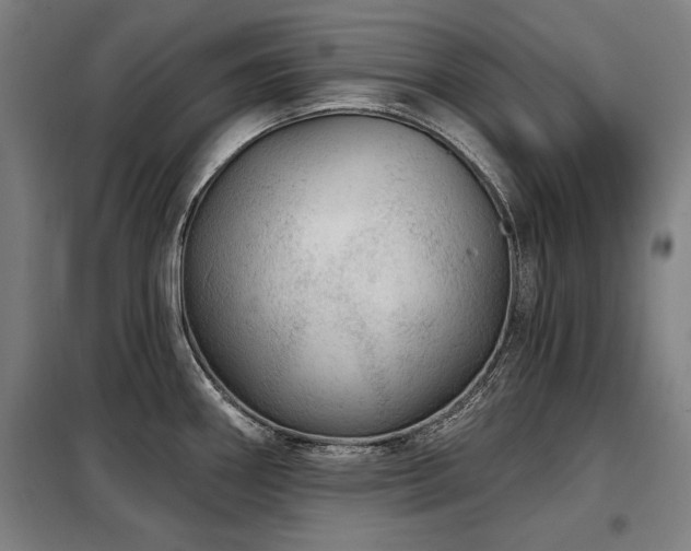 X0000098071290200804041116