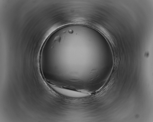 X0000098071291200804041116