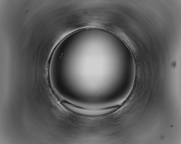 X0000098071292200804041116