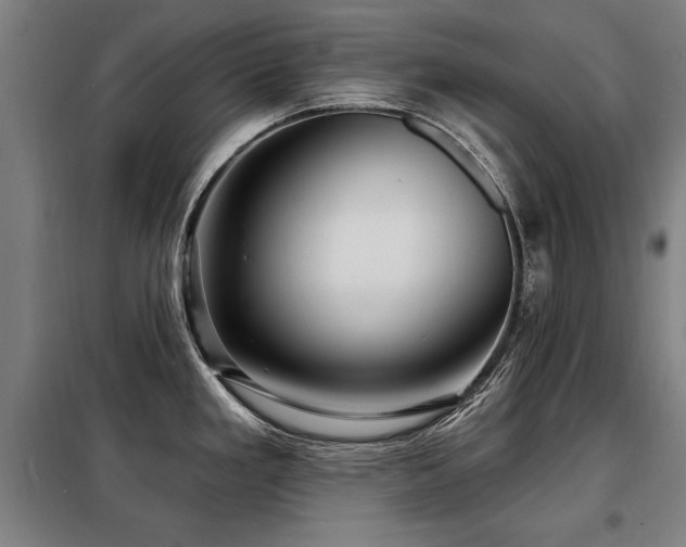 X0000098071293200804041116
