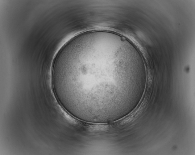 X0000098071294200804041116