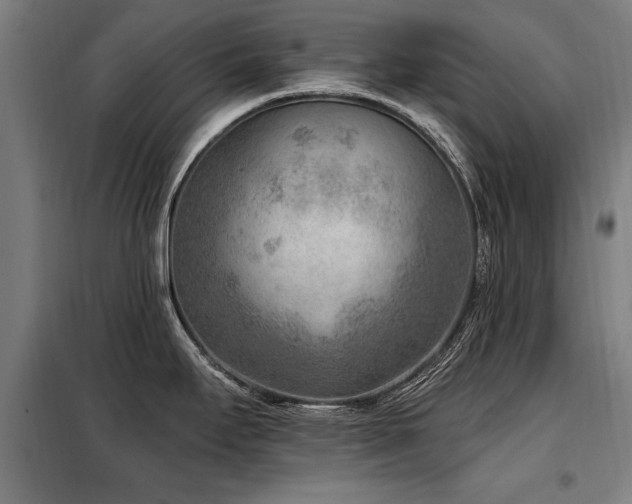X0000098071295200804041116