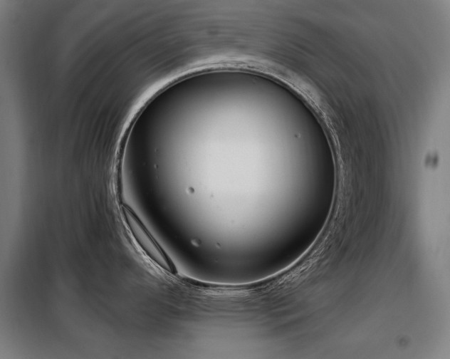 X0000098071296200804041116