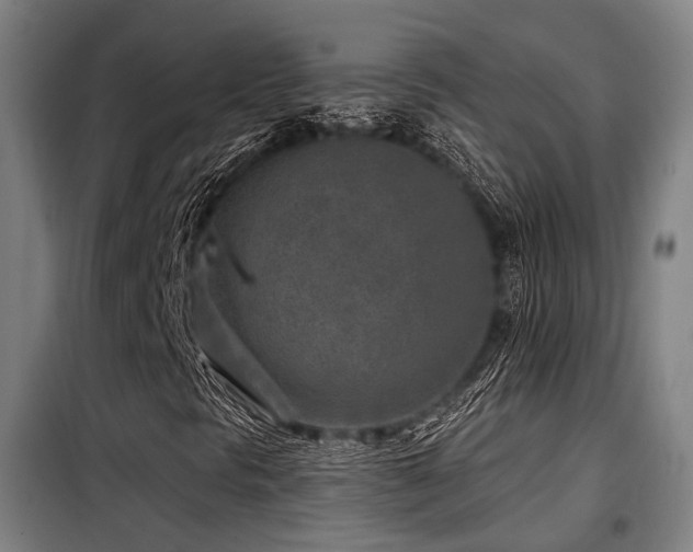 X0000098071297200804041116