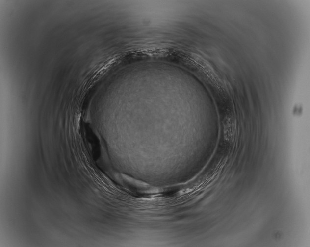 X0000098071298200804041116