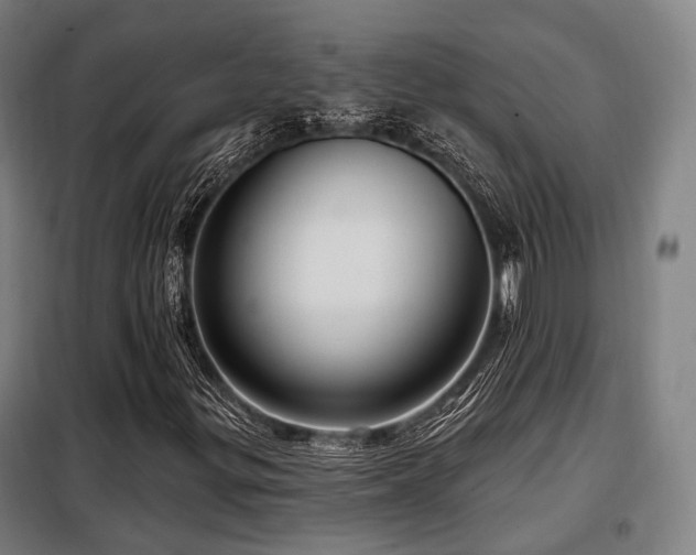 X0000098071299200804041116