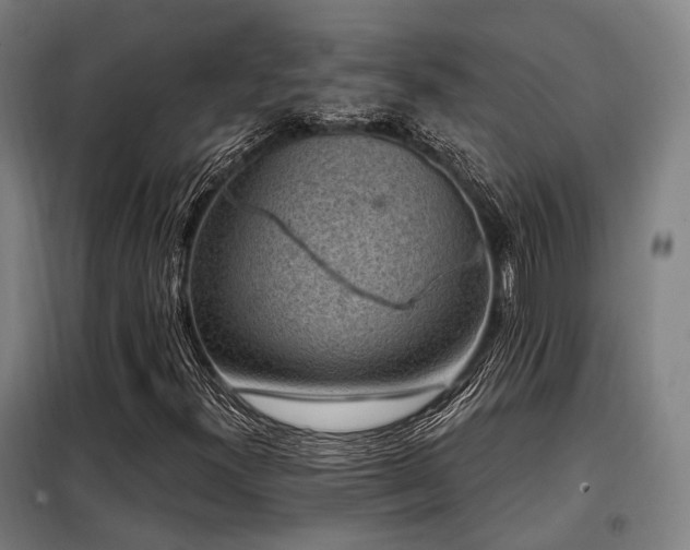 X0000098071300200804041116