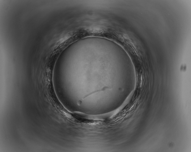 X0000098071301200804041116